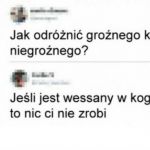 Kleszcze