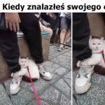Mój! Nie oddam