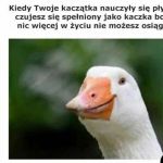 Najlepiej