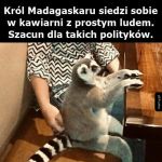 Szacun dla takich polityków