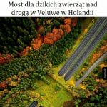 Most