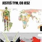 Przypominam czyja to zasługa