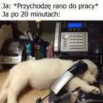 Poniedziałek w pracy