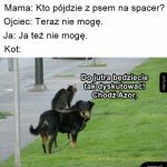 Wszystko w tym domu muszę robić sam!