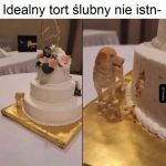 Tort ślubny