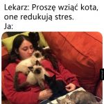 Terapia antystresowa