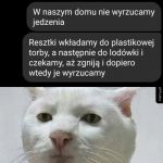 W naszym domu nie wyrzucamy jedzenia