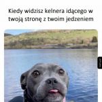 Nareszcie