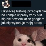 Historia przeglądania