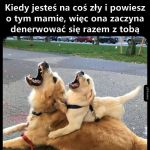 Udzieliło się
