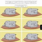 Tylko dla ludzi o mocnych nerwach
