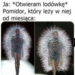 Moda inspirowana pleśnią