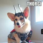 Thorgi