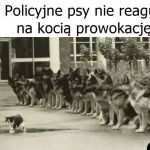 Policyjne psy