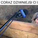 Dziwny ekspert