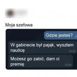 Szefowa vs. Pająk