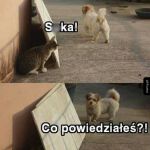 To nie ja