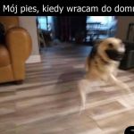Sama radość