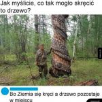 Skręcone drzewo