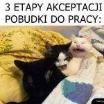 3 etapy