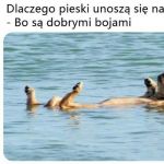 Wakacyjny suchar