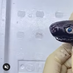 Obcy ukrywa się w głębinach