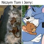 Niczym Tom i Jerry