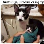 Na to wygląda