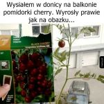 Jest i on - owoc ciężkiej pracy