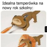 Dorośli też taką chcą!