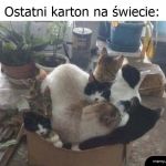 Ostatni karton na świecie