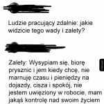 Wady i zalety pracy zdalnej