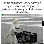 Czasem aż smutno patrzeć, jak ludzie się zachowują