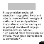 Dziwny pasożyt w domu