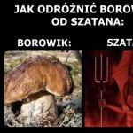 Bardzo proste