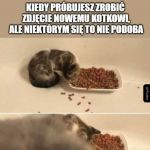 Niektórym to się nie podoba