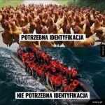 Identyfikacja