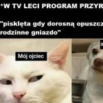 Program przyrodniczy