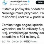 Zawsze miałem łeb do interesów