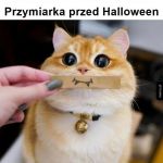 Przymiarka