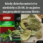 Zawsze pod ręką