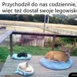 I nawet skorzystał