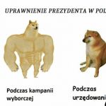 Władza prezydencka