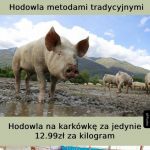Przemysłówka