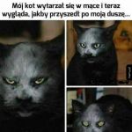 Zjawa