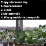 Szybko poszło