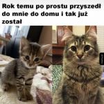 Przybłęda