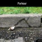 Parkour