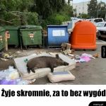 Świętowanie