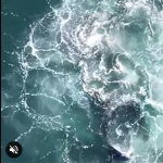 Bąbelki to znak, że trzeba uciekać